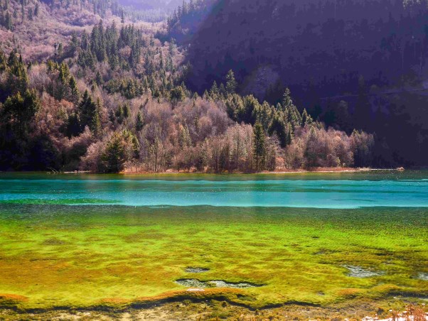 摄图网_500599609_九寨沟五花海子自然美景（企业商用）.jpg