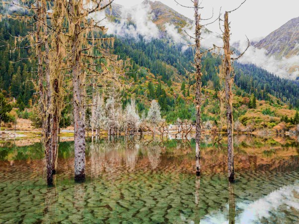 摄图网_500819311_四川成都四姑娘山双桥沟美景(企业商用).jpg